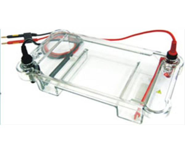 HS 120多用途水平電泳槽(核酸電泳槽）