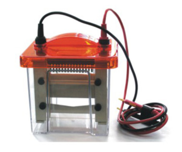 Mini VE1600迷你垂直電泳槽（蛋白電泳槽）